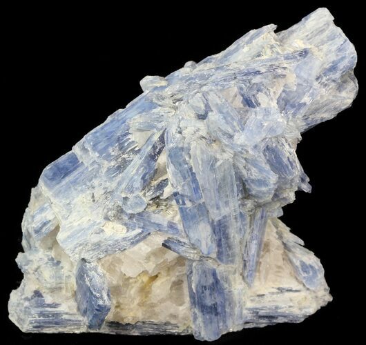 Kyanite Crystal Cluster with Quartz - Brazil #44989